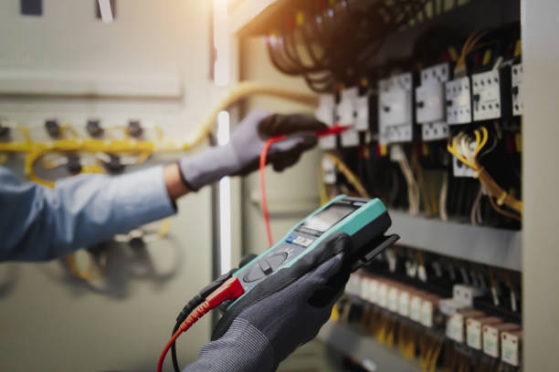 Best Electrical Panel Upgrades  in Mcnary, AZ